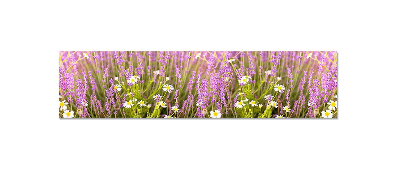 Наліпка вінілова на кухню Zatarga Польові квіти 600х2500 мм (1289776322)