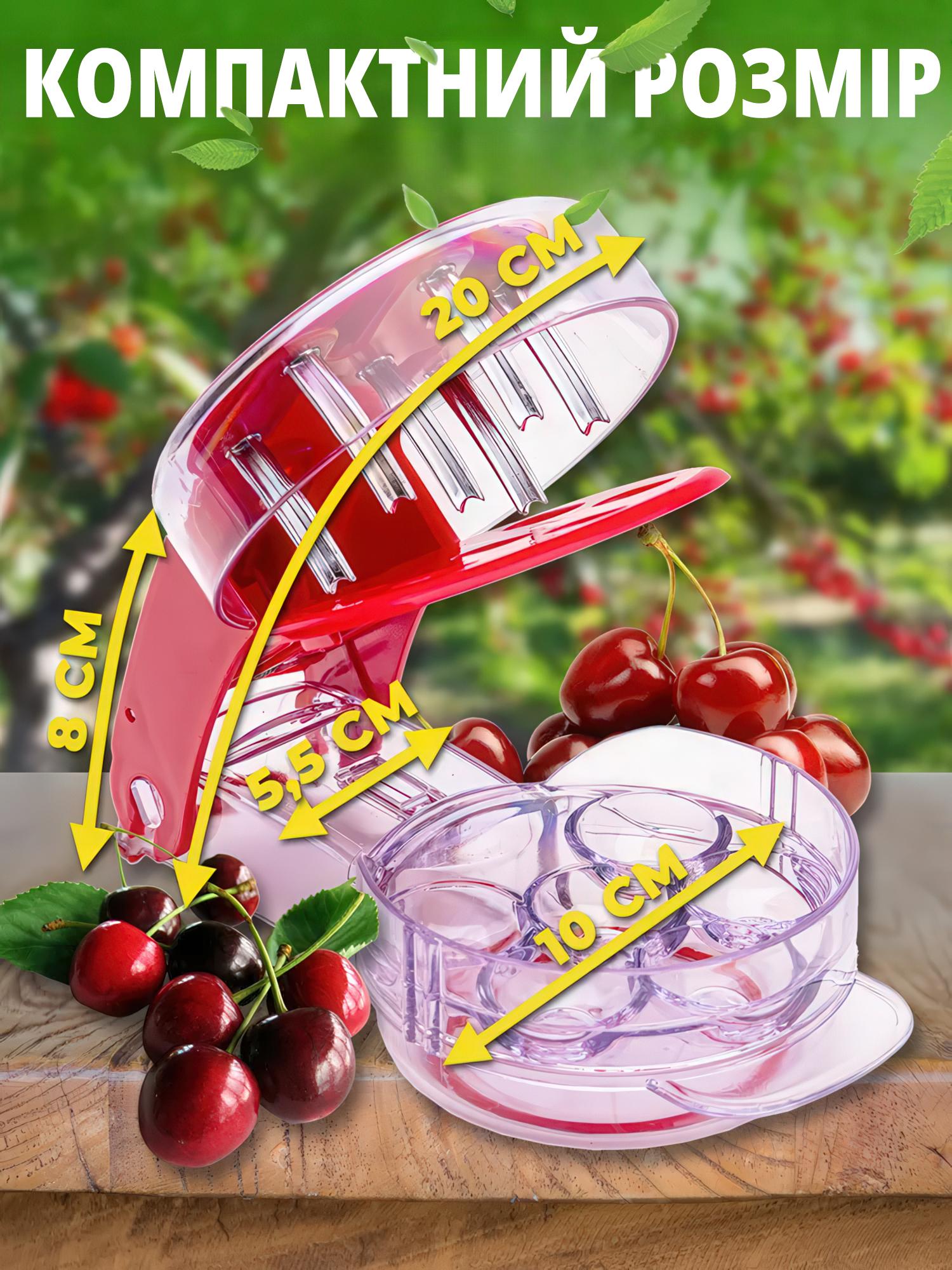 Ручной отделитель косточек на 6 ягод вишни/черешни/оливок - фото 5 Ручной отделитель косточек на 6 ягод вишни/черешни/оливок - фото 5