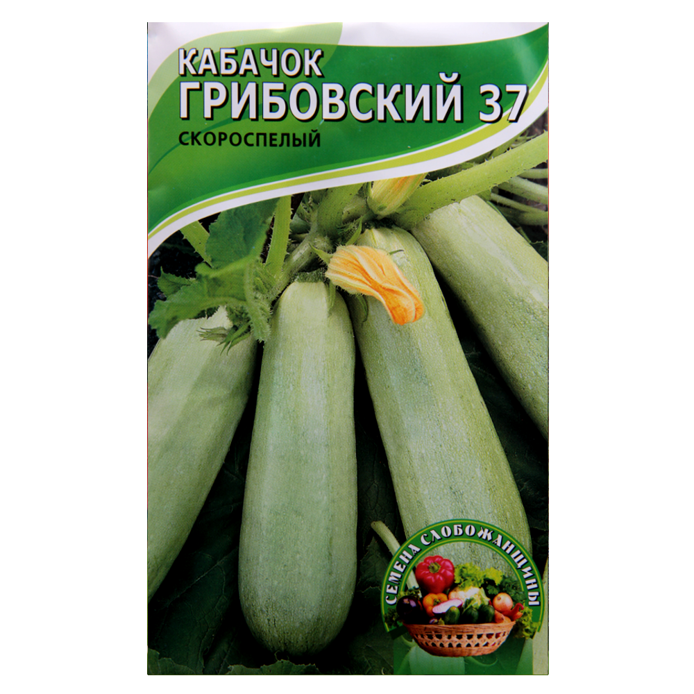 Семена кабачка Грибовский 37 скороспелый 10 г (24105)