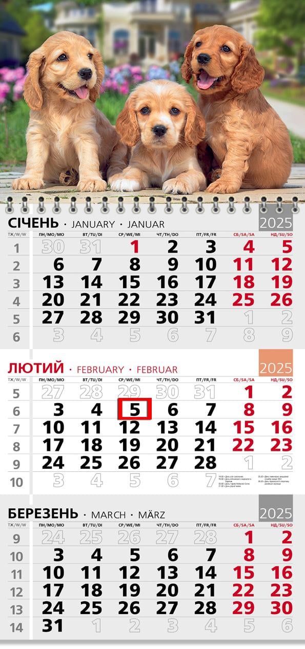 Календар на 2025 р. Офісний 3 Кокер Спаніель