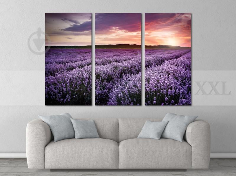 Модульна картина Poster-land Прованс Art-185_XXL