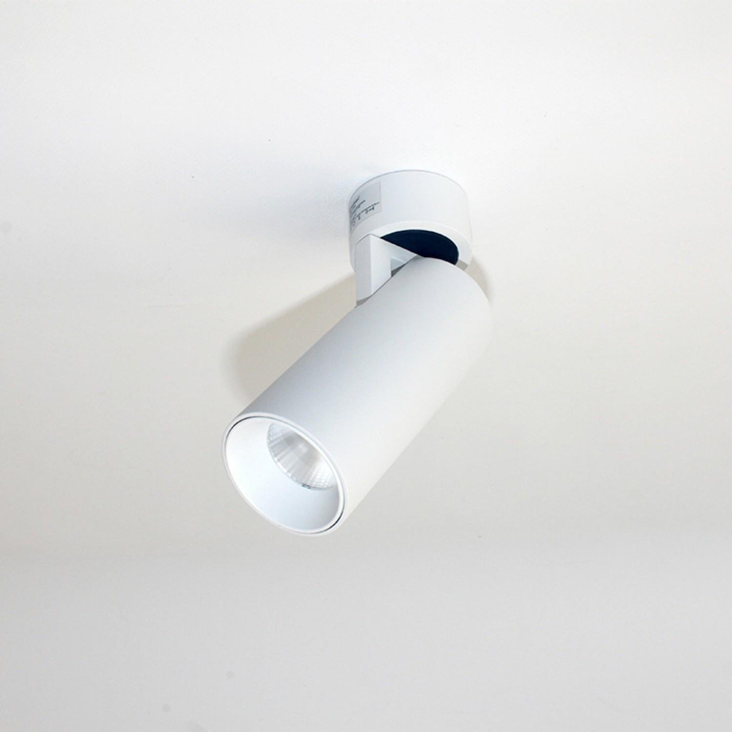 Спот Friendlylight Ray 10 W (FL2078) Спот Friendlylight Ray 10 W (FL2078)