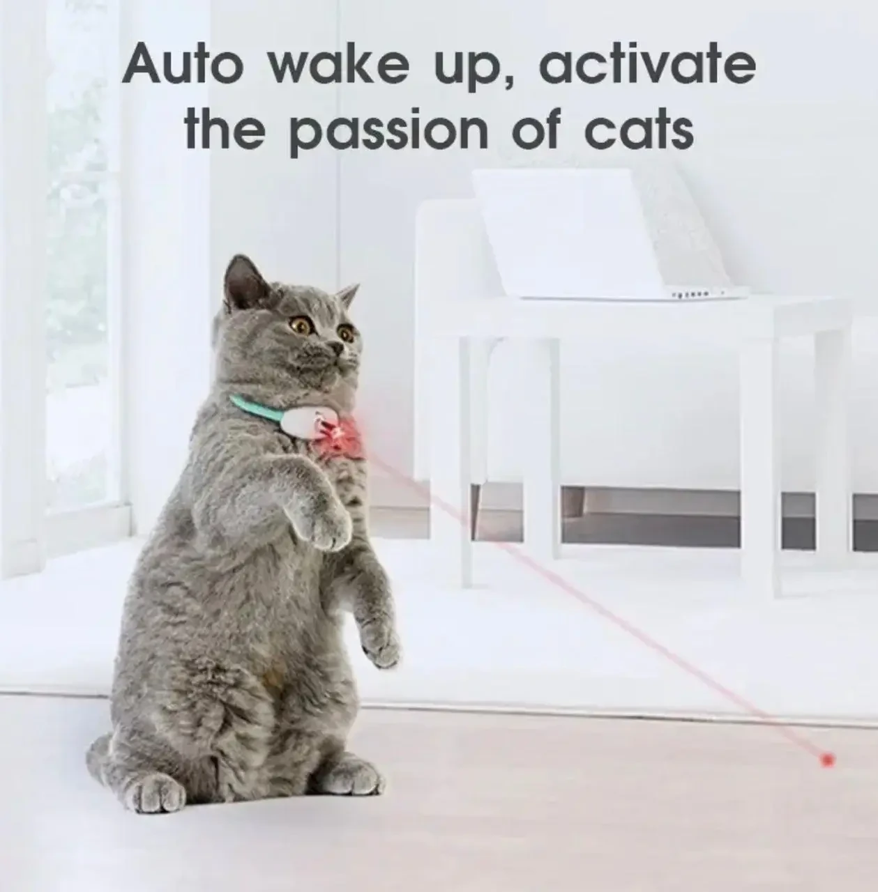 Ошейник с лазером для кошек Laser Projection Magical Temptation (AND 987) - фото 5