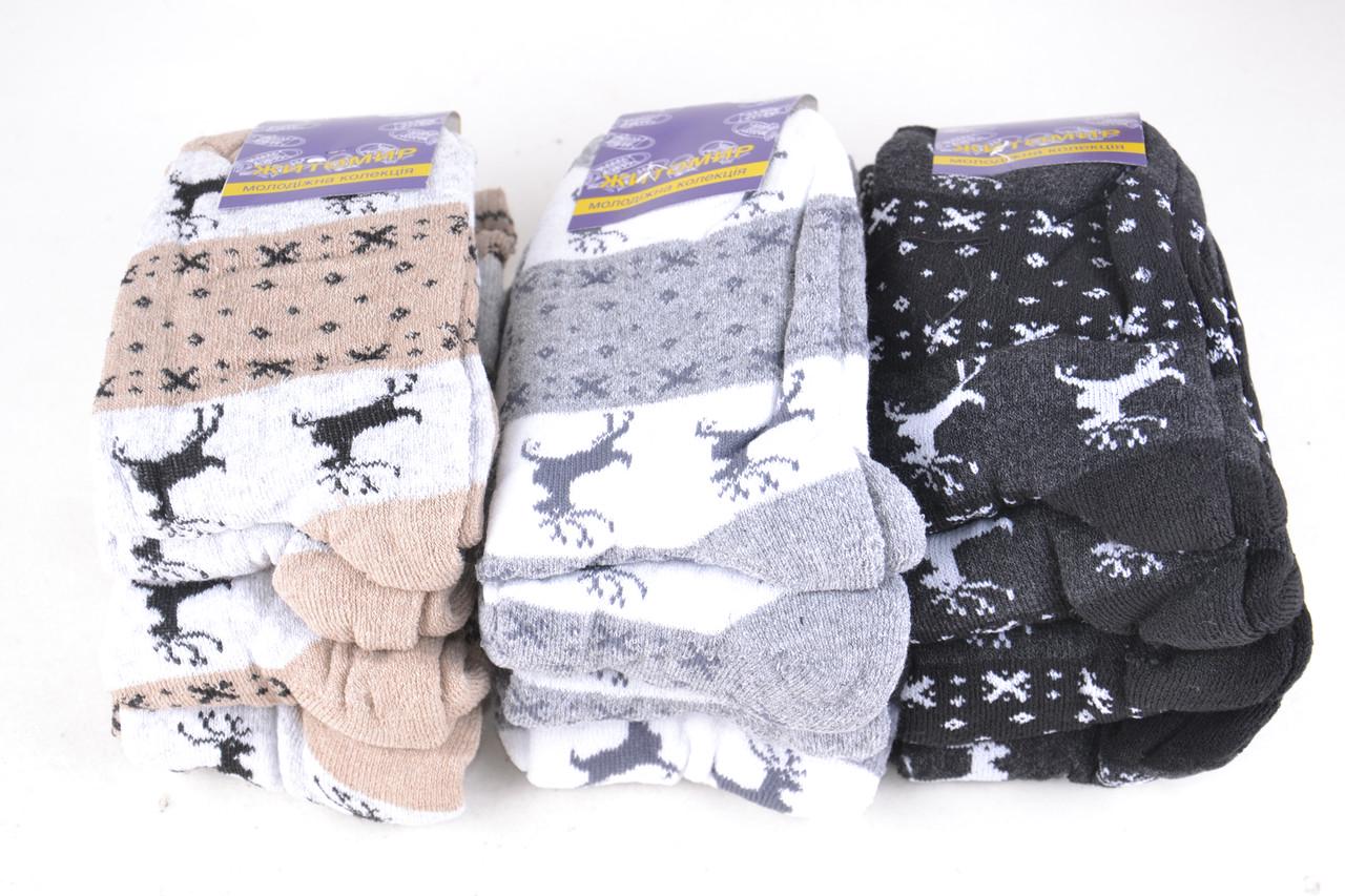 Жіночі шкарпетки Житомир махрові р. 36-40 12 пар (OK056)