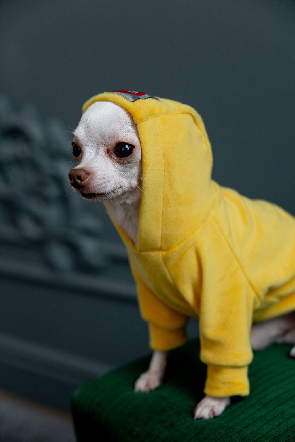 Кофта Diego Худи S Желтый - фото 2 Кофта Diego Худи S Желтый - фото 2