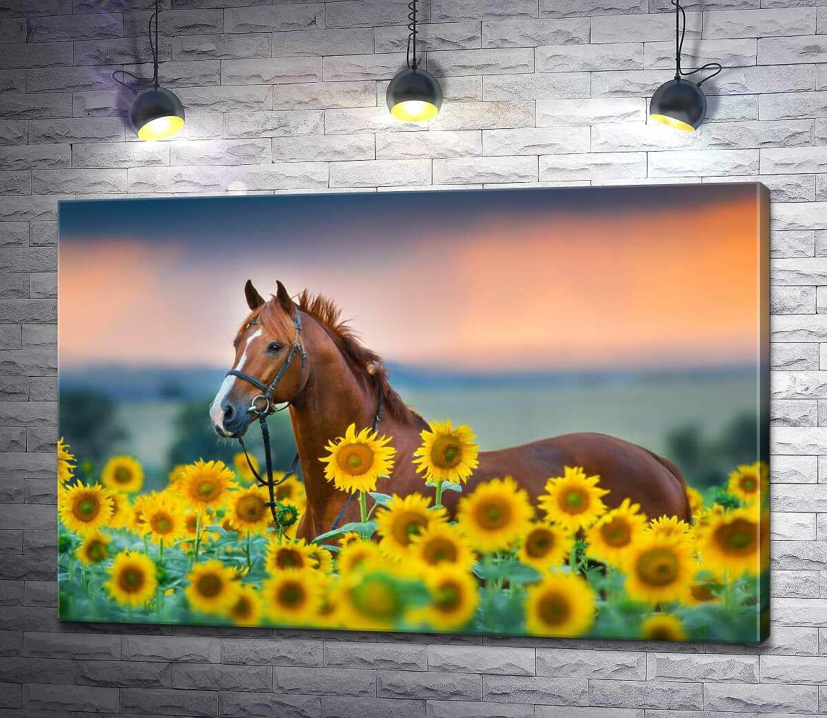 Картина ArtPoster Величественная фигура гнедого коня среди яркого поля подсолнухов 100x67 см Модуль №1 (001000)