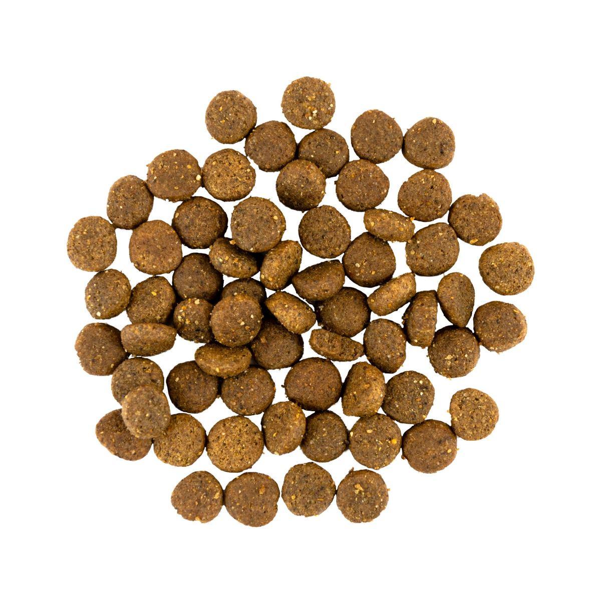 Сухой корм для щенков Savory 1 кг индейка и курица - фото 2