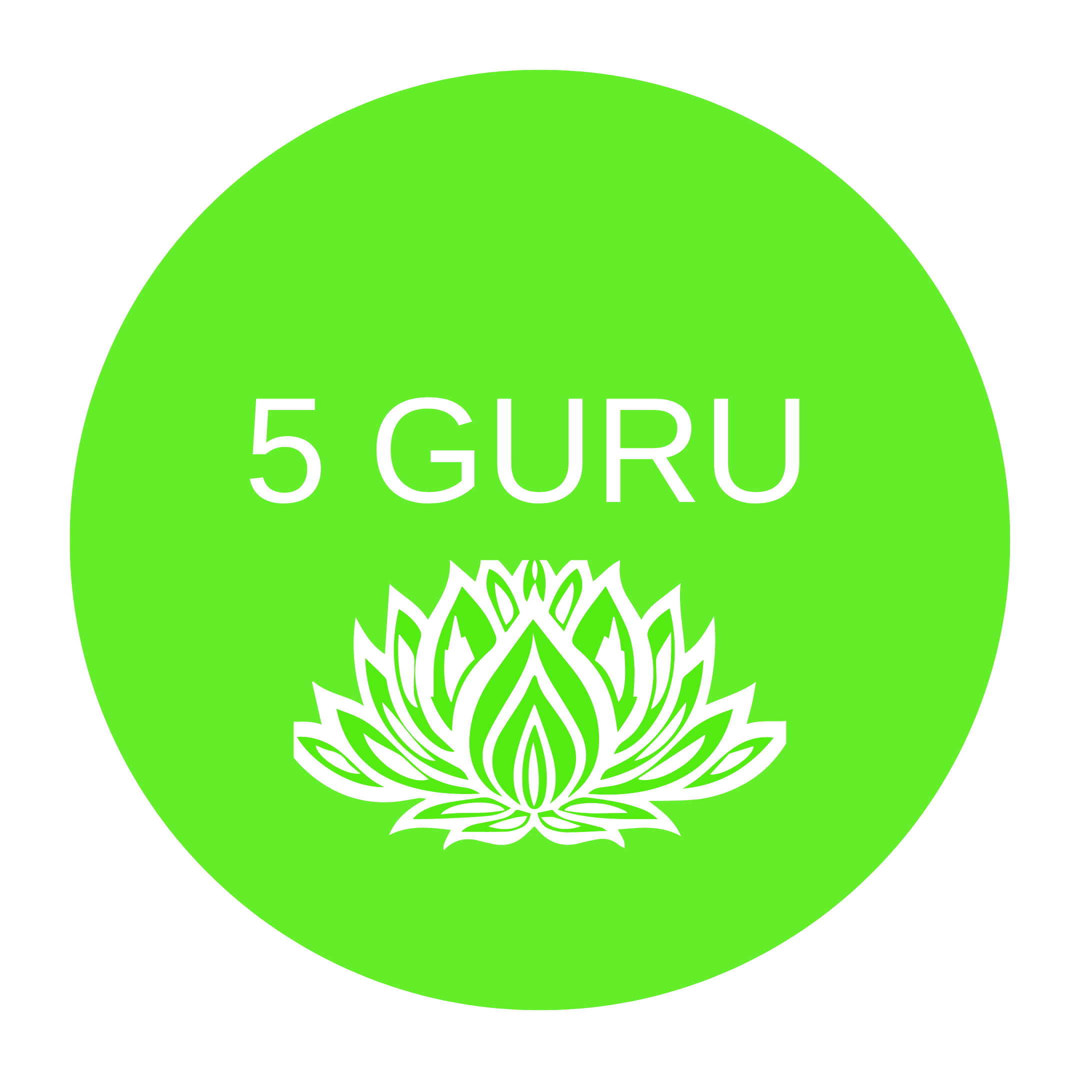 5 GURU