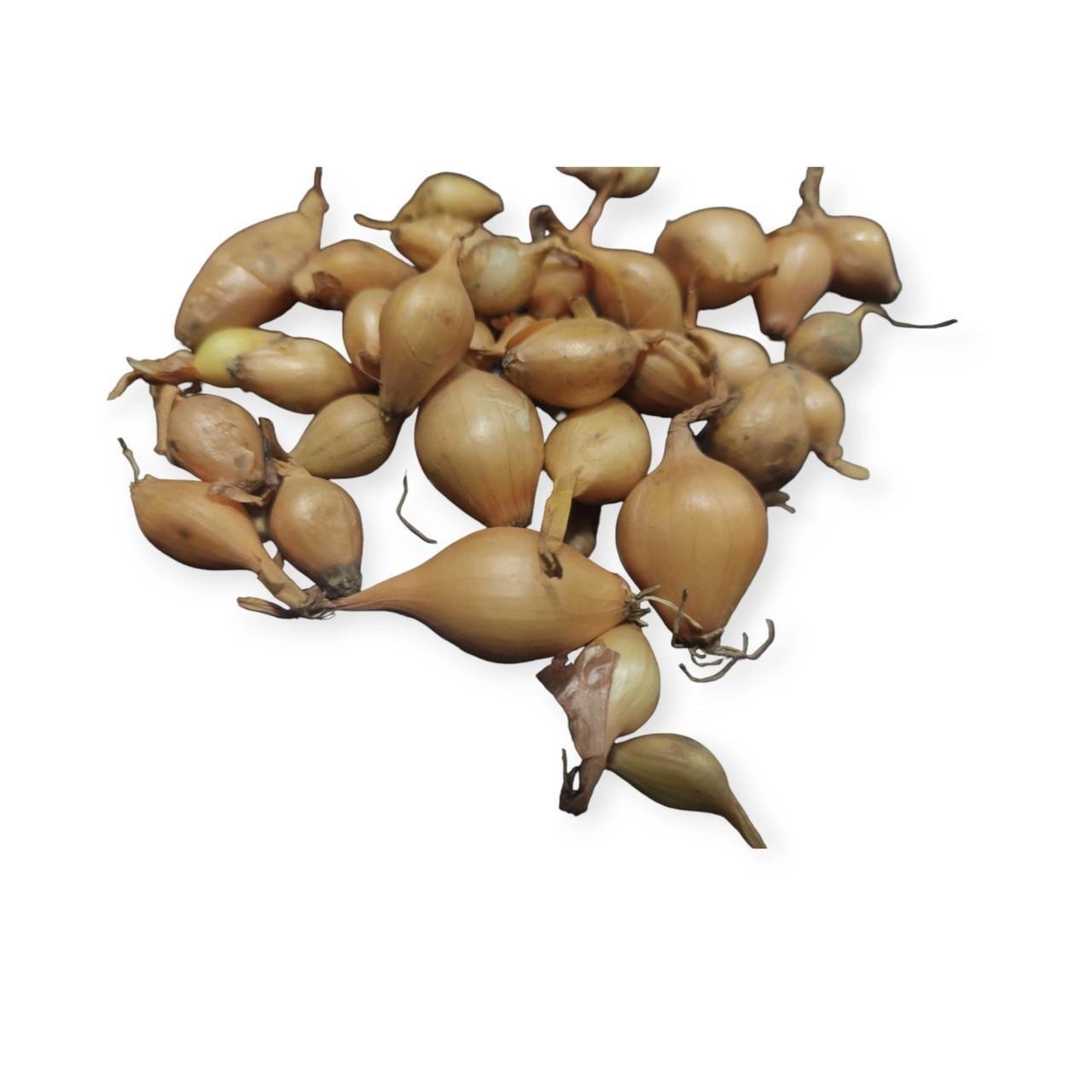 Цибуля сівок ТОР Шекспір Onions 10-21 мм 1 кг (2330625171)