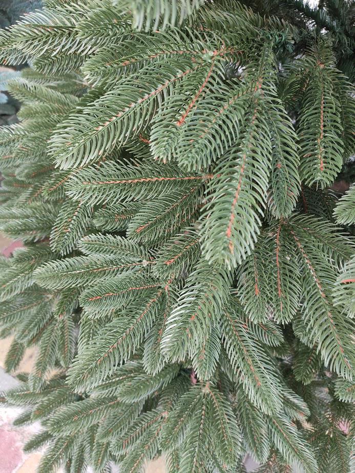 Искусственная елка литая Премиум с подставкой 2,10 м Зеленый (NYT15300) - фото 11 Искусственная елка литая Премиум с подставкой 2,10 м Зеленый (NYT15300) - фото 11