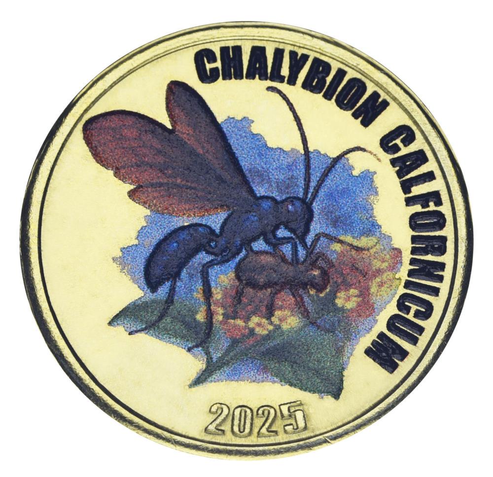 Монета коллекционная Остров Чилое 2 фунта 2025 UNC Чили Насекомое – Оса – Chalybion californicum