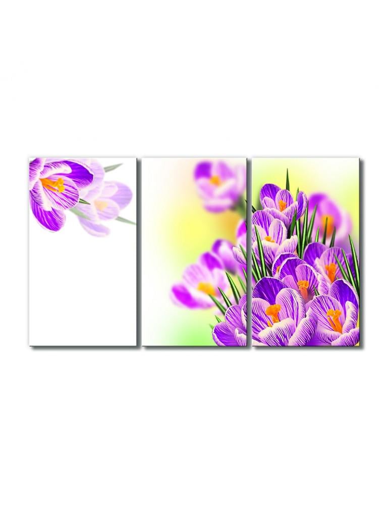 Картина модульная Рябенькие крокусы 3 модуля 80x120 см