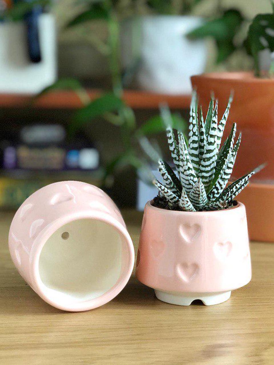 Керамический горшок для суккулентов Mini Plant 6,3х6,4см Арт Сердечки Розовый Керамический горшок для суккулентов Mini Plant 6,3х6,4см Арт Сердечки Розовый