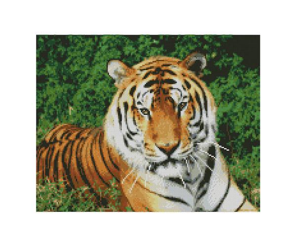 Алмазная мозаика FA10046 Взгляд тигра 40x50 см