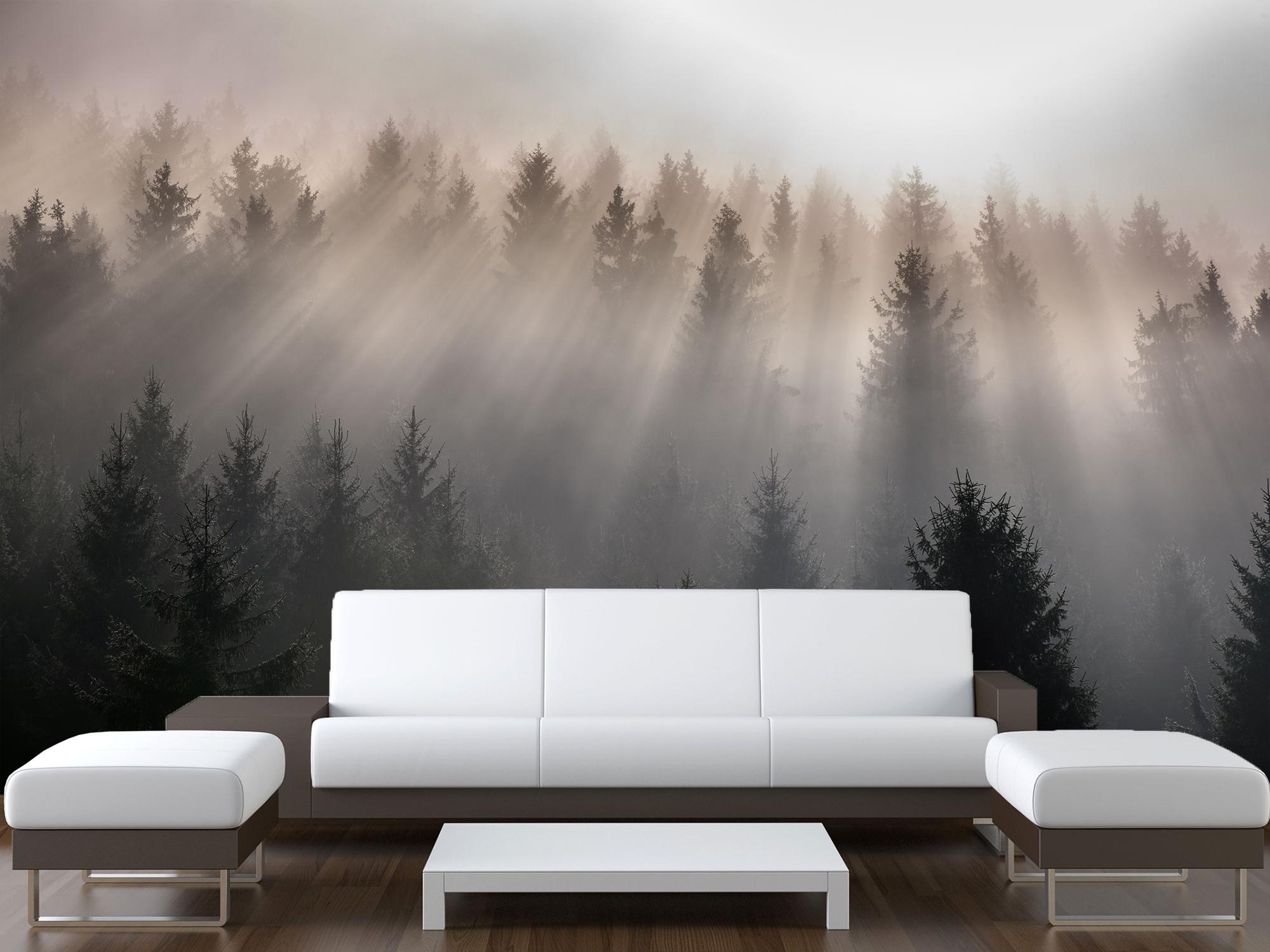 Фотообои флизелиновые Карпатские туманные горы в солнечном сиянии 230х345 см (S5NTR-065/6)