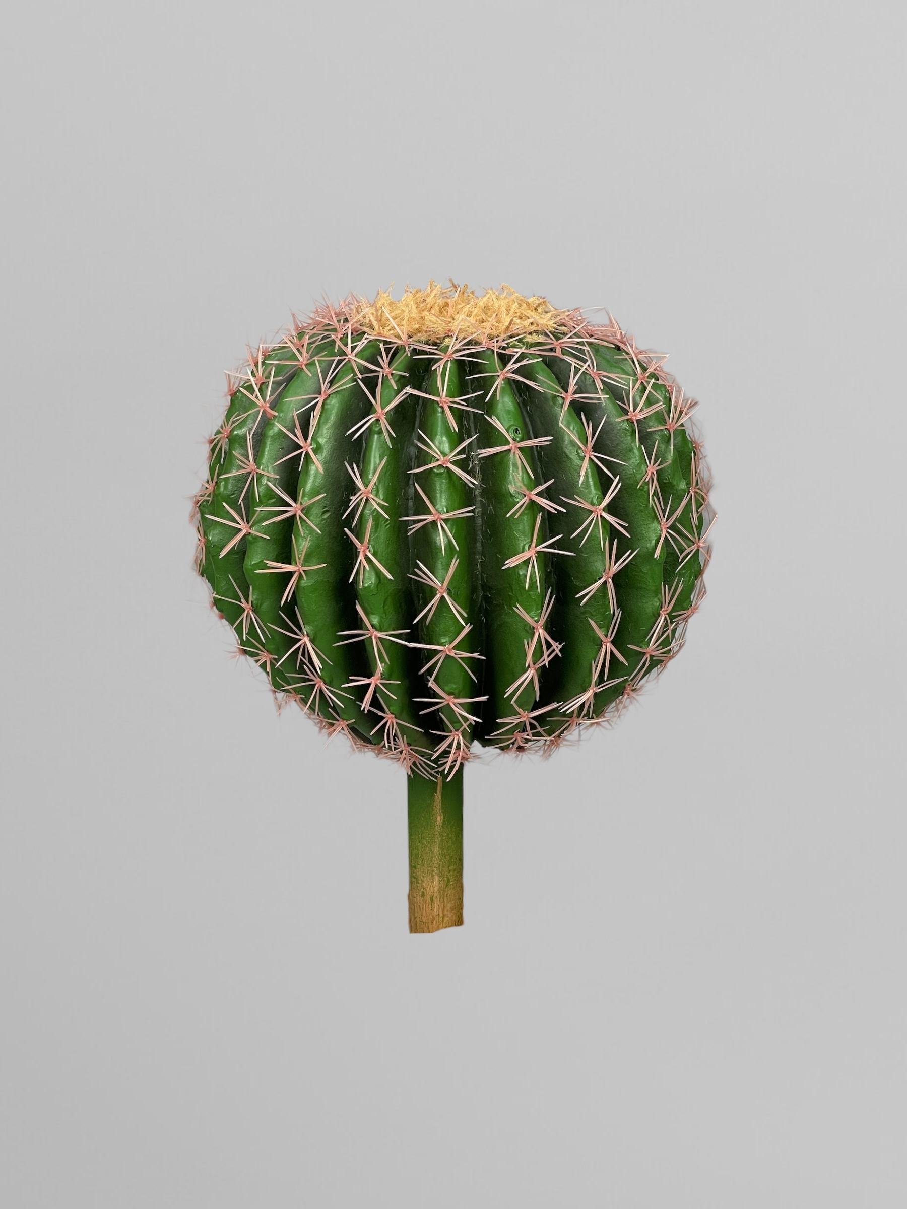 Искусственный кактус круглый без горшка 20 см Зеленый (Р06006) Искусственный кактус круглый без горшка 20 см Зеленый (Р06006)
