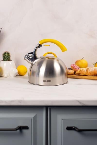 Чайник зі свистком MG-1191