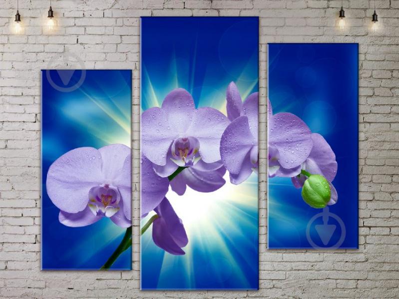 Модульная картина ArtStar цветы Орхидея ADFL0202 размер 150 х 180 см