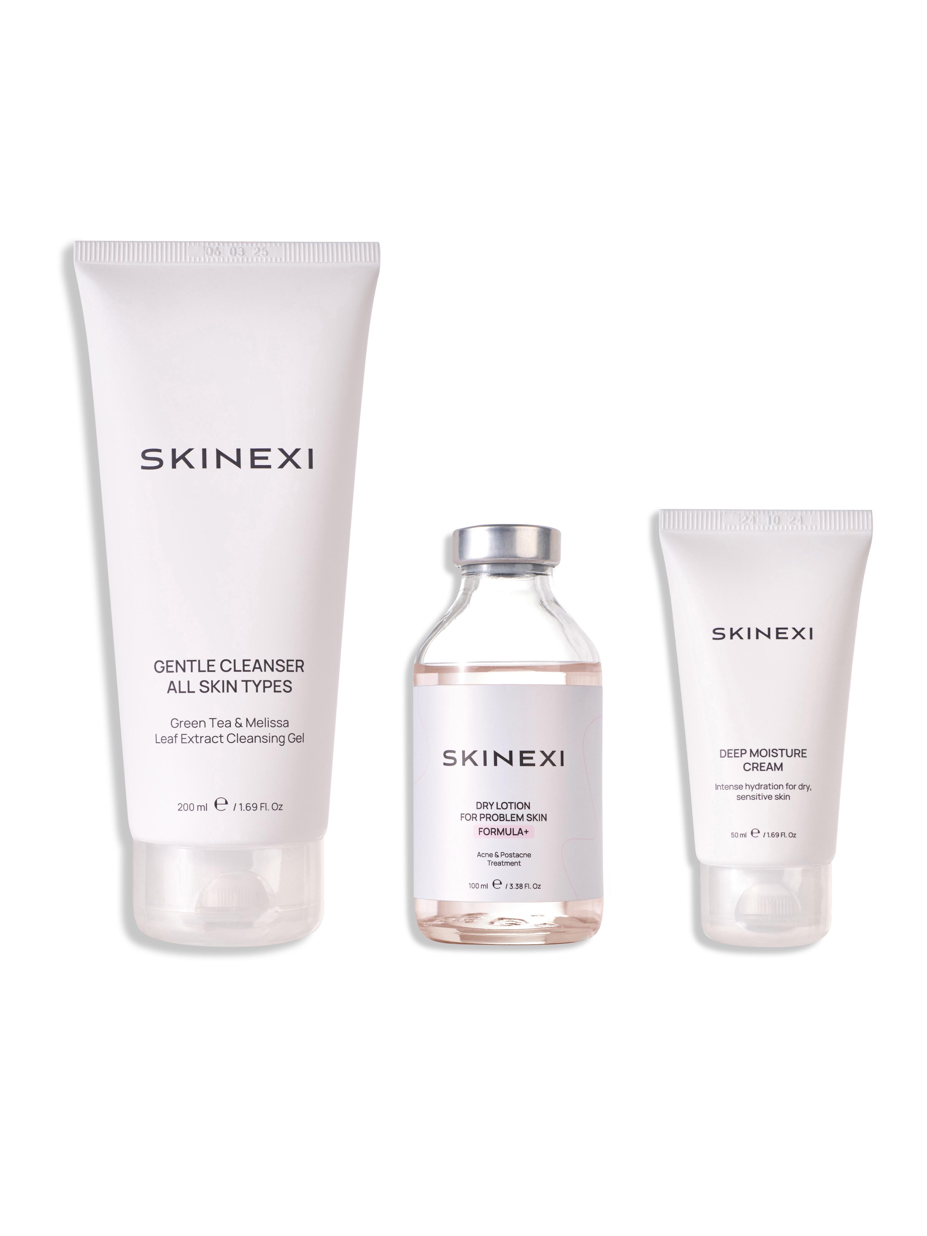 Набір для проблемної шкіри від прищів та акне Skinexi S (0009)