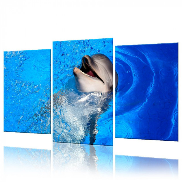 Картина модульная 3 части ArtStar Дельфин 120х180 см ADJ0021