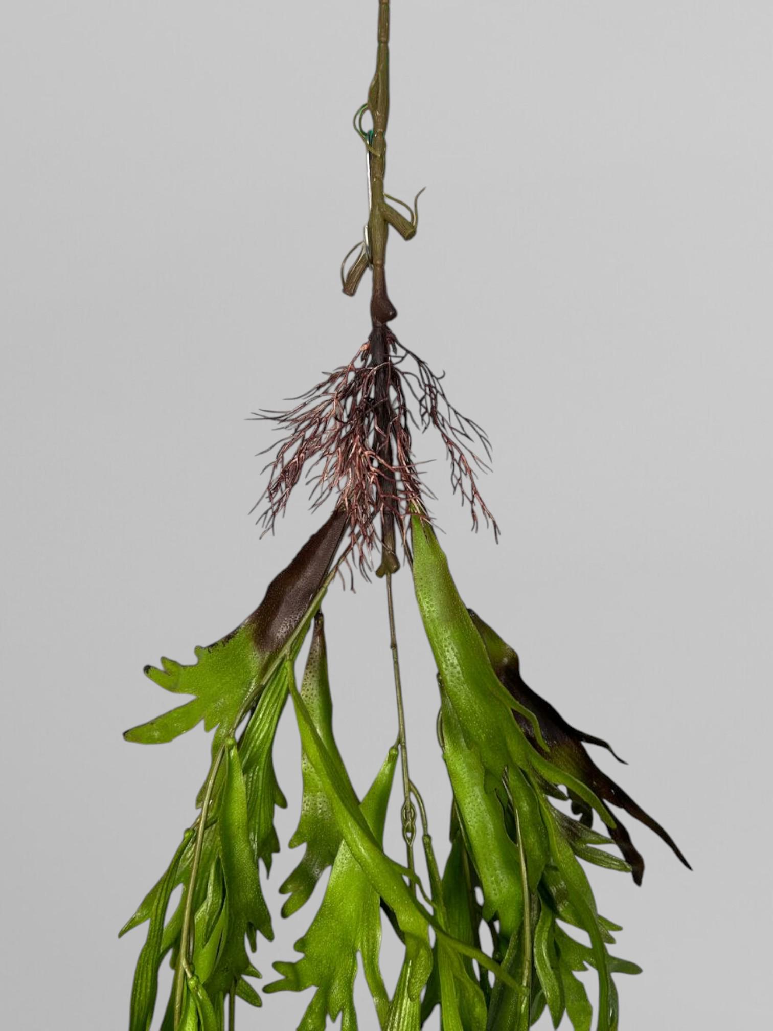 Искусственный папоротник платицериум 110 см Зеленый (Р01038) - фото 3 Искусственный папоротник платицериум 110 см Зеленый (Р01038) - фото 3