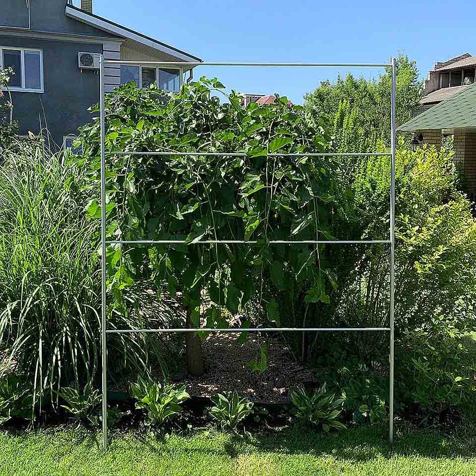 Опора для рослин шпалера садова 2000х2000 мм d 20 мм/d 12 мм (ШС-D20/D12-2000*2000) - фото 4 Опора для рослин шпалера садова 2000х2000 мм d 20 мм/d 12 мм (ШС-D20/D12-2000*2000) - фото 4