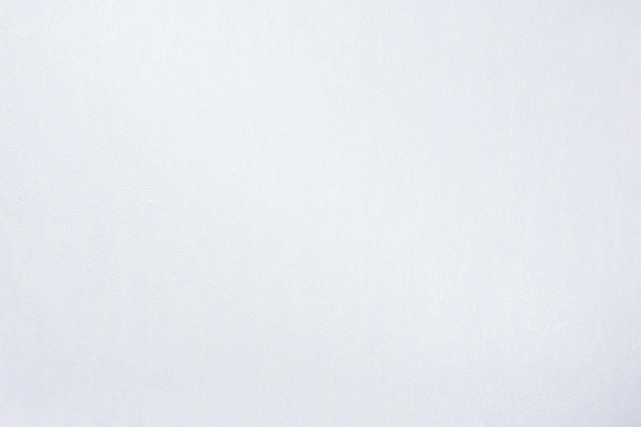 Обои флизелиновые LS Vinil Rains ДХС-1588 Фон вспененный винил 1,06х10,05 м Белый - фото 2 Обои флизелиновые LS Vinil Rains ДХС-1588 Фон вспененный винил 1,06х10,05 м Белый - фото 2