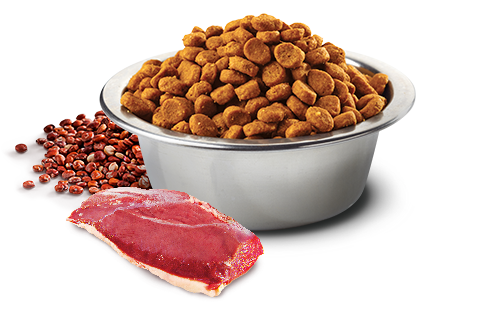 Корм сухий для котів беззерновий Farmina N&D Quinoa Urinary Duck & Cranberry профілактика сечокам'яної хвороби 5 кг (24148198) - фото 2