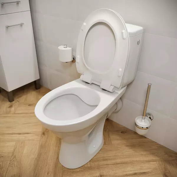 Унітаз-компакт Mito Cersania 906 Simpleon 011 3/6 л з дюропластовим сидінням з плавним закриванням і функцією простого зняття Білий (35623787)
