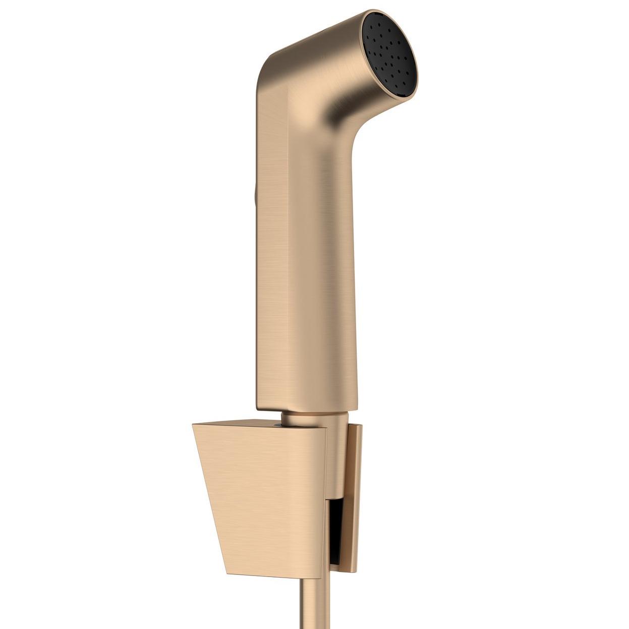 Комплект для гигиенического душа Hansgrohe Bidette EcoSmart 29238140 Бронзовый (240737)