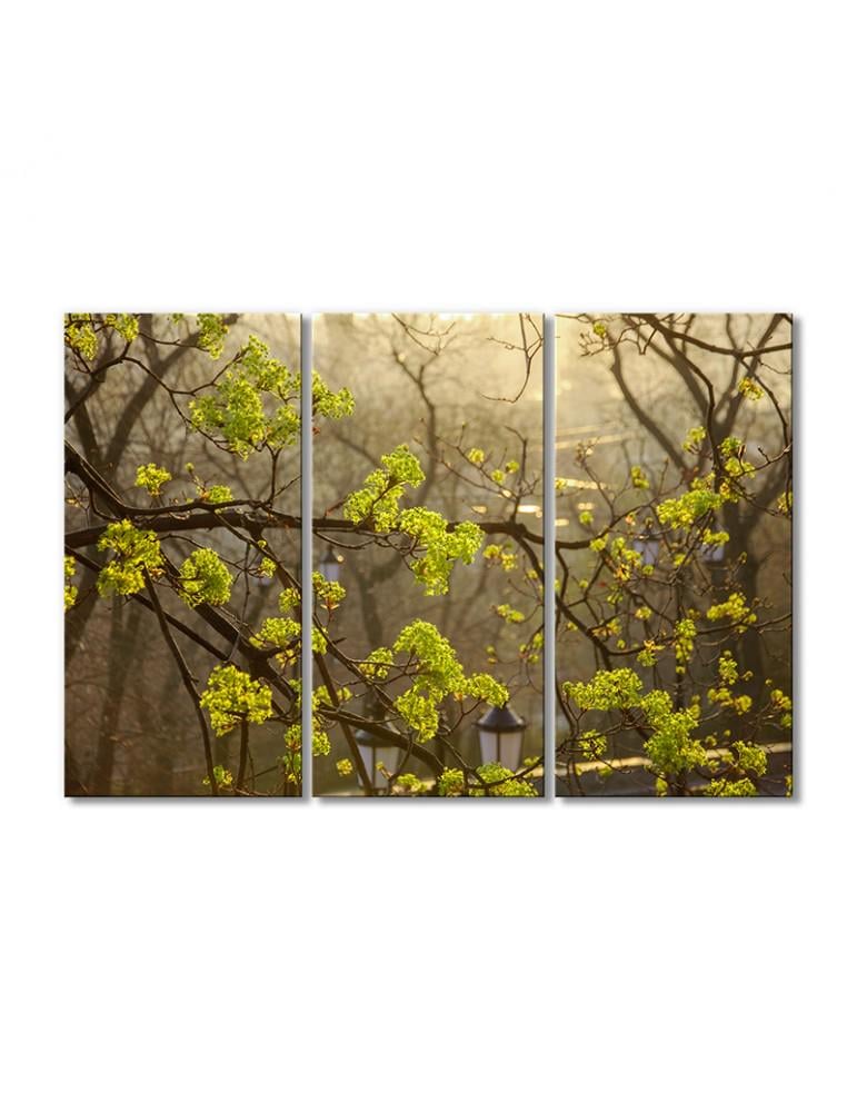 Картина модульная Ранняя весна 3 модуля 120x180 см (061253cvety_i_rasteniya)