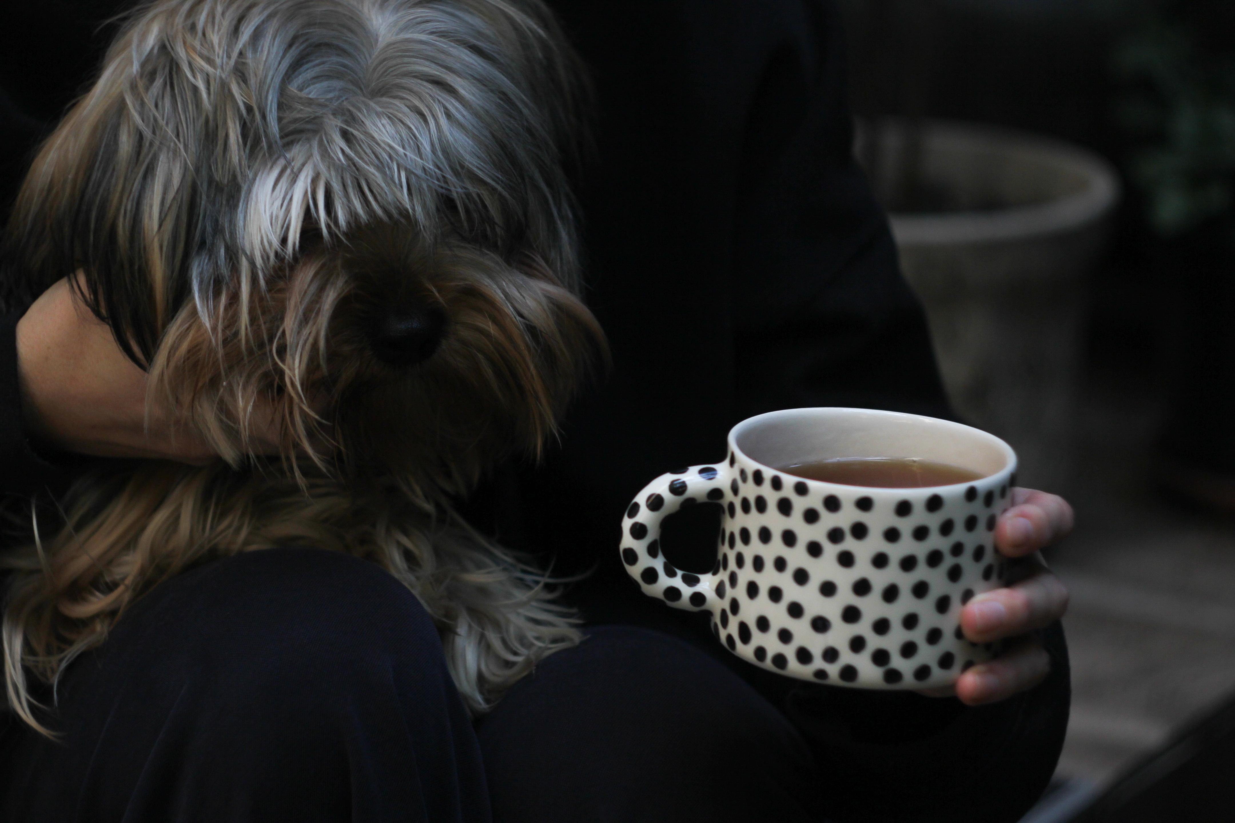 Чашка керамічна в чорний горох ручна робота напівпорцеляна 350 мл (PRS-CUP-IMG-350-I-DOTS) - фото 5 Чашка керамічна в чорний горох ручна робота напівпорцеляна 350 мл (PRS-CUP-IMG-350-I-DOTS) - фото 5