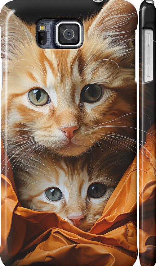 Чехол на Samsung Galaxy Alpha G850F Котики 2 (5664c-65-42517)
