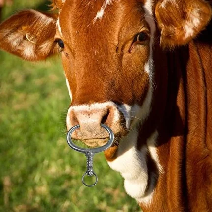 Оборудование для крупного рогатого скота кольцо в нос быку или корове AN00062-1 13х9 см - фото 5 Оборудование для крупного рогатого скота кольцо в нос быку или корове AN00062-1 13х9 см - фото 5