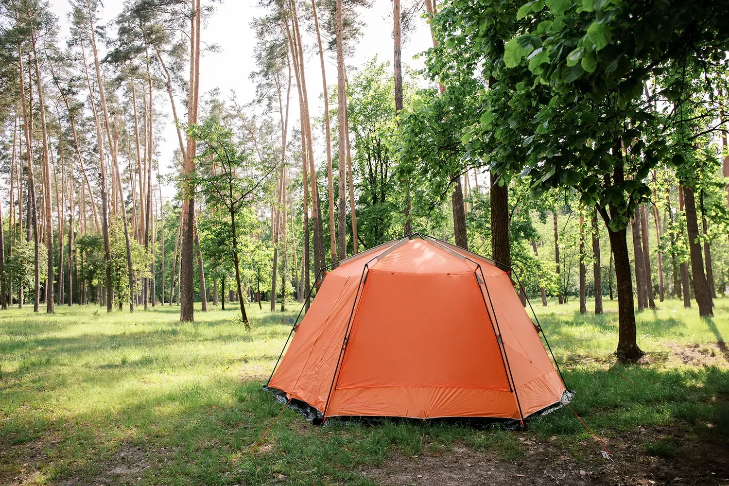 Шатер Tramp Lite Mosquito TLT-009.02 Orange - фото 3 Шатер Tramp Lite Mosquito TLT-009.02 Orange - фото 3