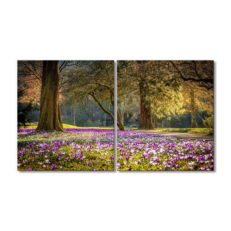 Картина модульная Весна парк Крокусы 2 модуля 90x135 см