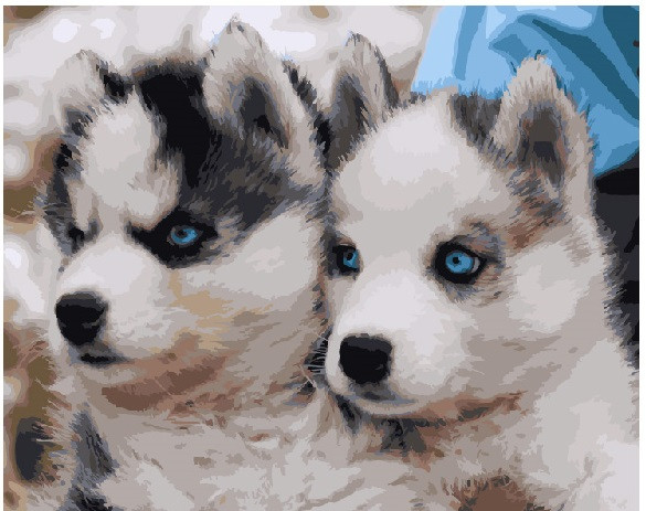 Картина по номерам Brushme Щенки хаски (GX3797) Картина по номерам Brushme Щенки хаски (GX3797)