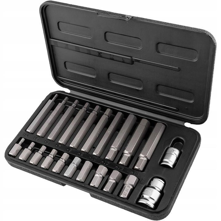 Набір шестигранних біт Richmann IMBUS HEX 22 шт. M4-М14 (C6939)