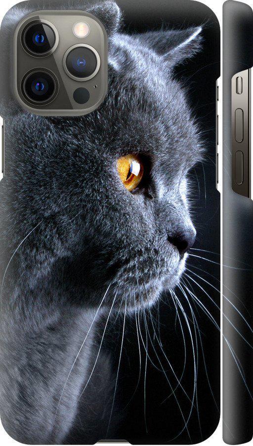 Чехол на iPhone 12 Pro Max Красивый кот (3038c-2054-42517)