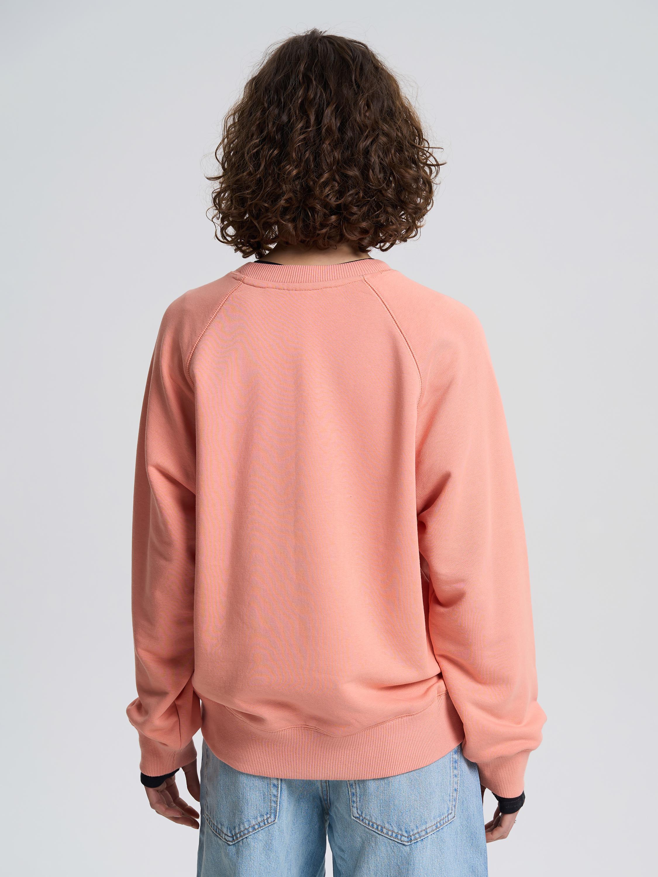 Свитшот-реглан женский укороченный ROZA 231111 L Коралловый (4824005718861) - фото 2 Свитшот-реглан женский укороченный ROZA 231111 L Коралловый (4824005718861) - фото 2