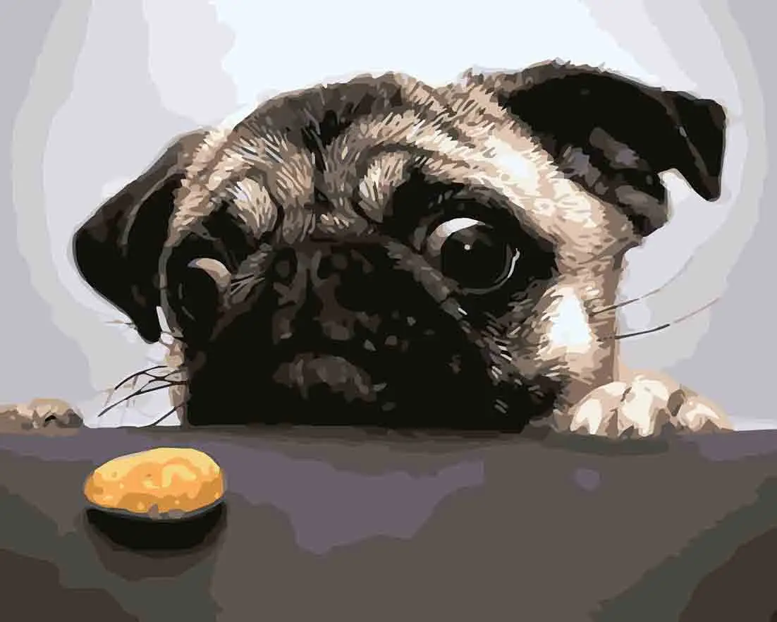 Картина по номерам ART CRAFT Недосягаемое печенье 40x50 см (ACR-B-11601-AC)