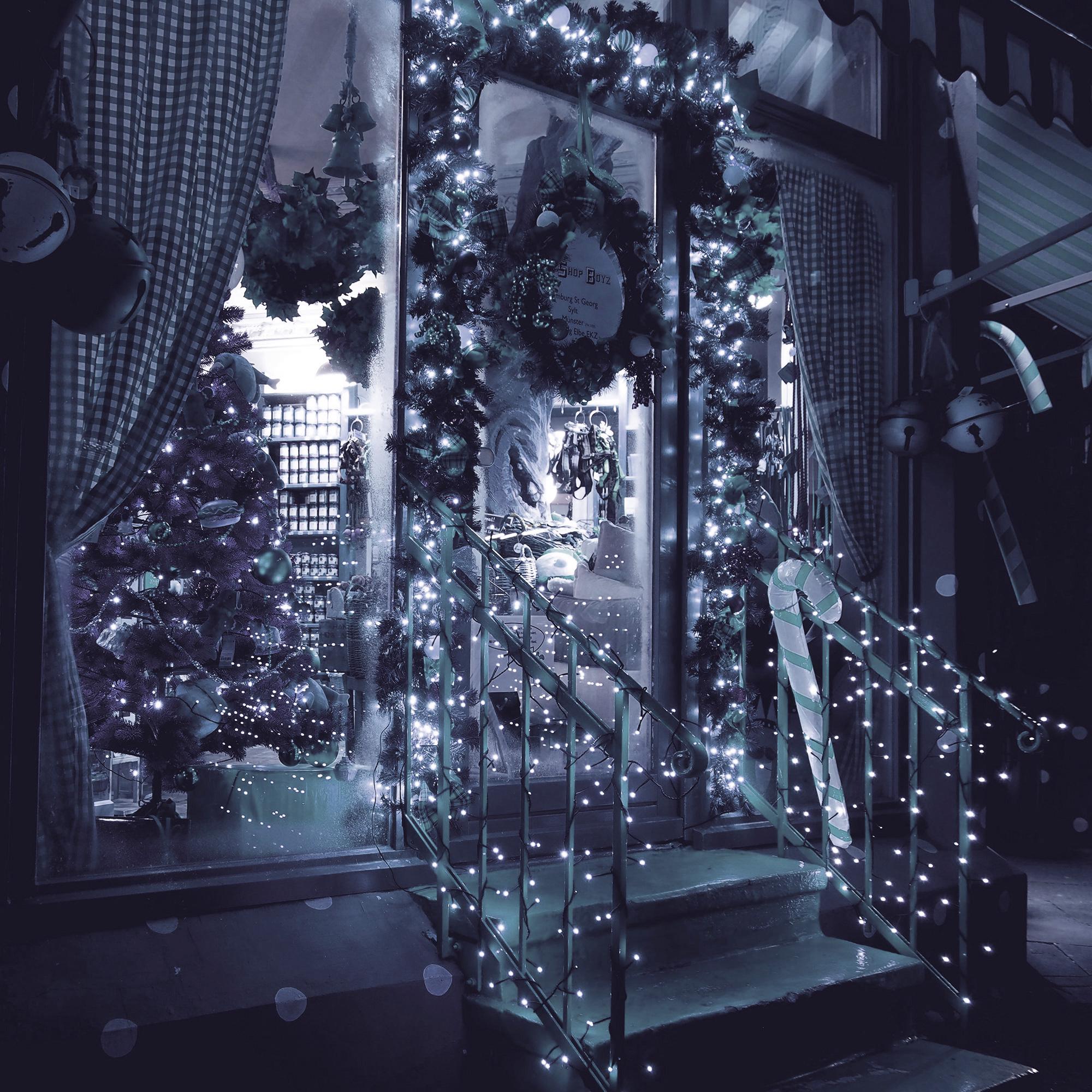 Гірлянда Springos вулична/зовнішня 1000 LED 60 м Cold white (CL1004) - фото 10 Гірлянда Springos вулична/зовнішня 1000 LED 60 м Cold white (CL1004) - фото 10