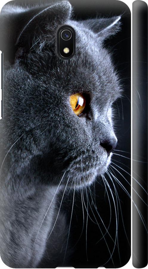 Чехол на Xiaomi Redmi 8A Красивый кот (3038m-1794-42517) Чехол на Xiaomi Redmi 8A Красивый кот (3038m-1794-42517)