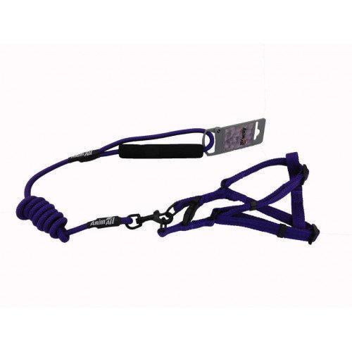 Комплект шлейки с поводком AnimAll для животных S Синий