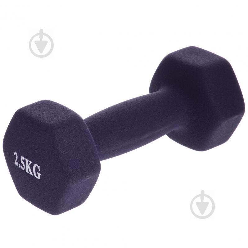 Гантелі для фітнесу SP-Planeta Веселка TA-0001-2_5 2,5 Фіолетовий Гантелі для фітнесу SP-Planeta Веселка TA-0001-2_5 2,5 Фіолетовий
