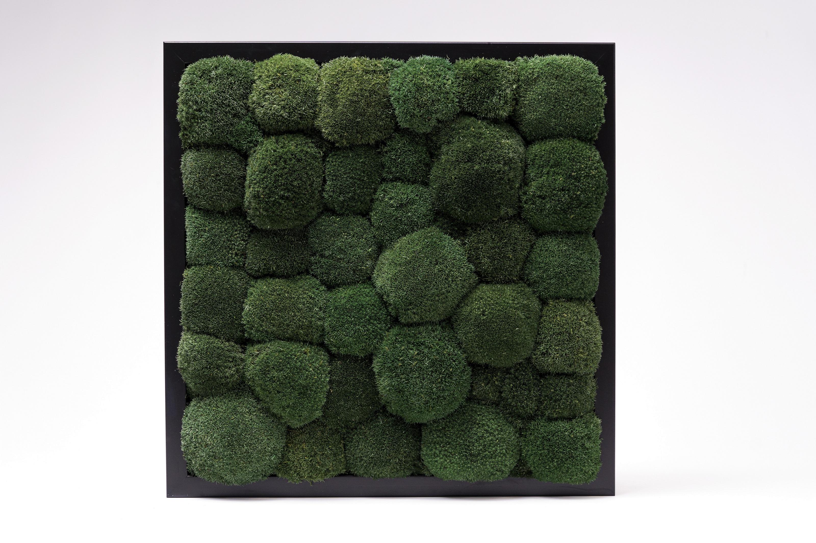 ᐉ Картина из мха Organic Design Кочка 804 50x50 см (804-50-50) • Купить ...