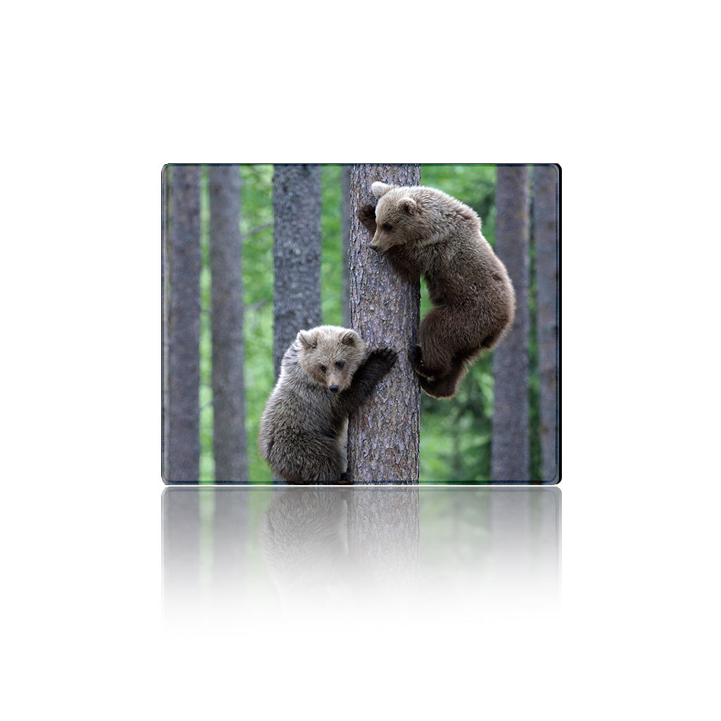 Коврик для мышки тканевый Two Bears с боковой прошивкой 2 мм 250x300 мм (36449)