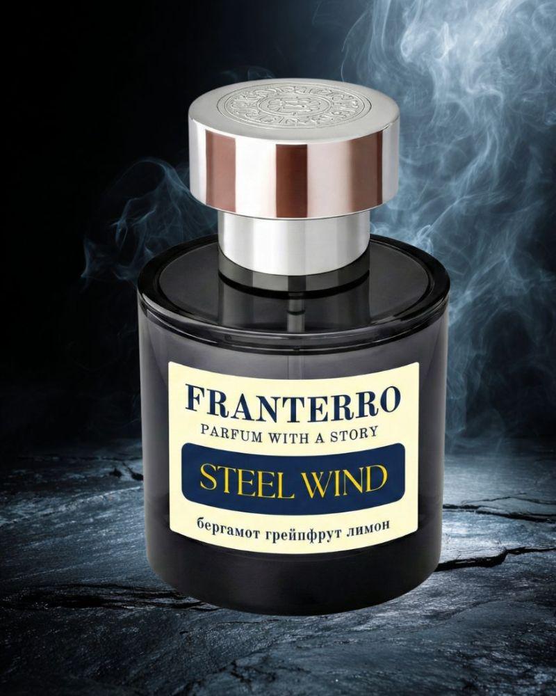 Парфюм мужской Franterro Steel Wind 50 мл (FRN-1009)