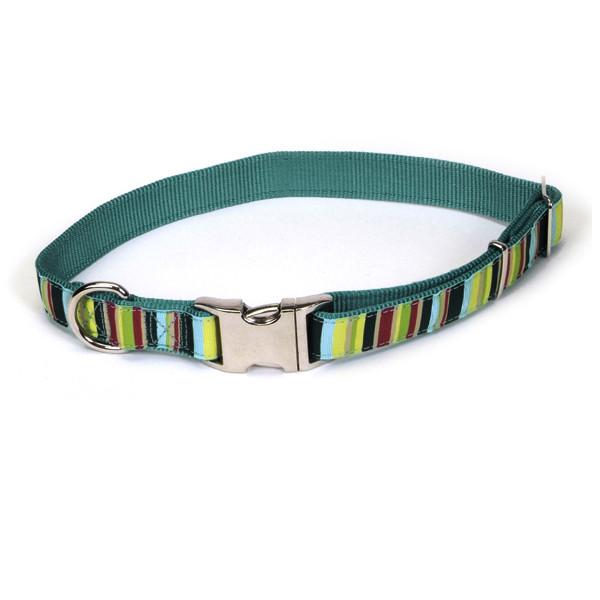 Ошейник для собак Coastal Pet Attire Ribbon 2,5х46-66 см (61971_MSP26)