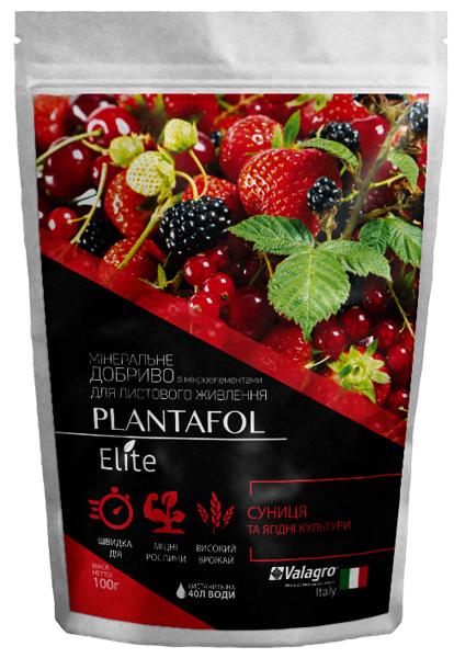 Удобрение комплексное минеральное для земляники и ягодных культур Valagro Plantafol Elite NPK 20.20.20 100 г